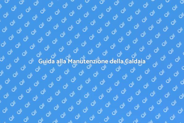Manutenzione Essenziale della Caldaia