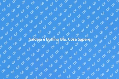 Bollino Blu Caldaia: Sicurezza e Efficienza