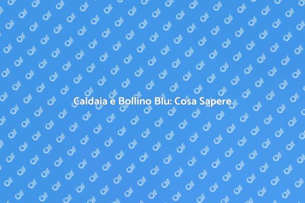 Bollino Blu: Sicurezza nella Caldaia