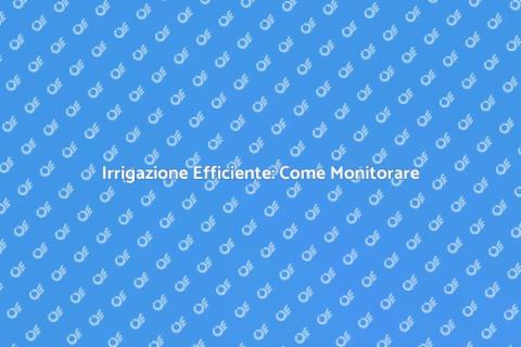 Monitoraggio Irrigazione: Vantaggi Chiave