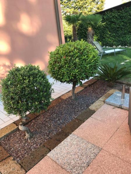 Re del giardino - Foto 7