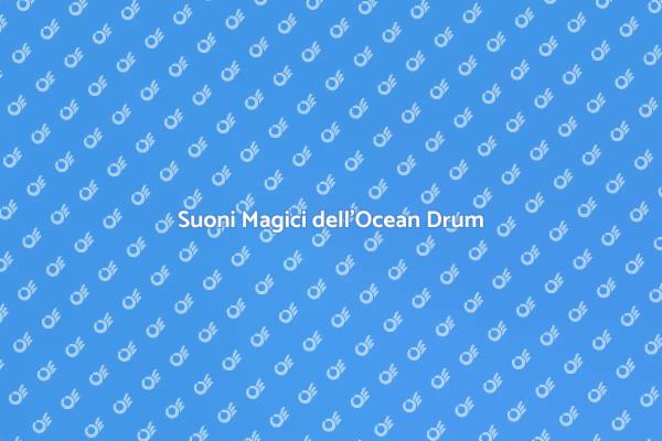 Ocean Drum: Magia Sonora dell'Oceano