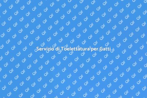 Toelettatura Completa per Gatti