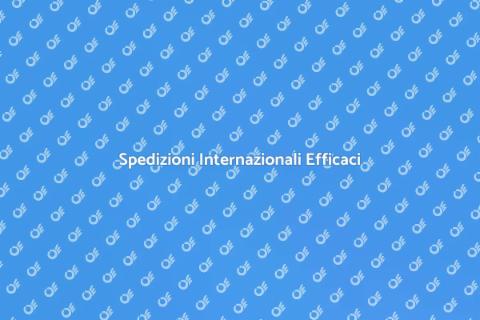 Trasporto Internazionale Veloce