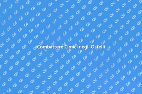 Disinfestazione Cimici Ostelli Giovanili