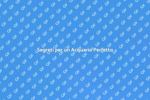 Manutenzione Professionale Acquario