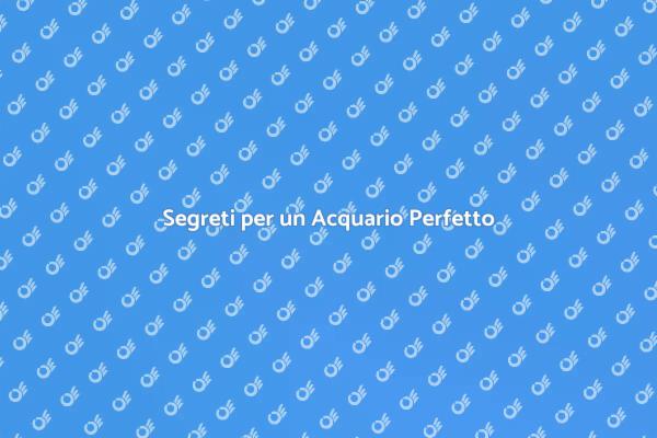 Svelare i Segreti dell'Acquario