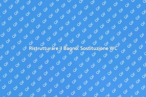 Installare o Sostituire un WC Facile