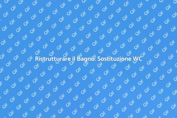 Installazione WC: Guida Pratica