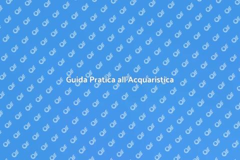Acquario per Principianti: Guida Facile