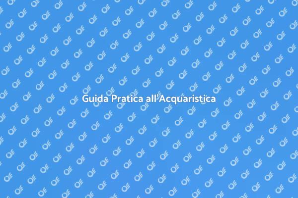 Inizia il Tuo Viaggio nell'Acquaristica
