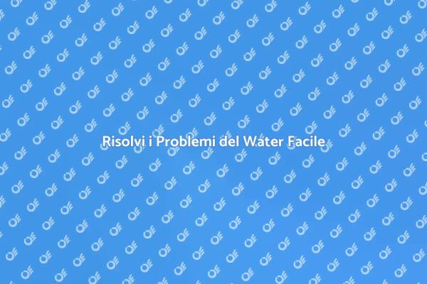 Aggiustare il Water: Ecco Come Fare