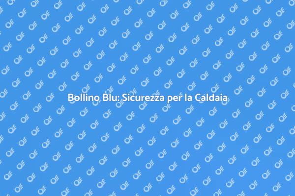 Assicurati con il Bollino Blu della Caldaia