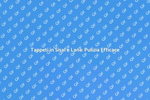 Pulizia Tappeti in Sisal e Lana