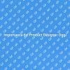 L'Essenza del Product Designer