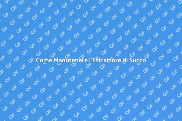 Guida alla Manutenzione dell'Estrattore