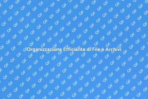 Pulizia Professionale File e Archivi