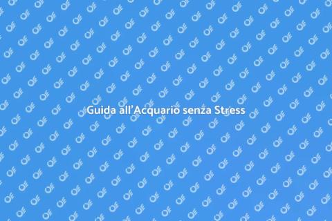 Acquario Senza Stress: Guida Pratica
