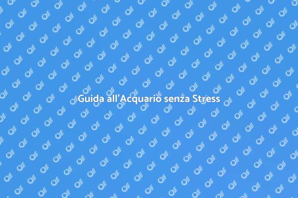 Come Creare un Acquario Serene