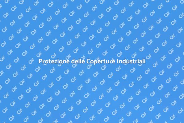 La Sicurezza delle Coperture Industriali