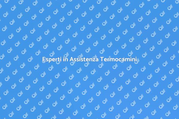 Servizio Tecnico per Termocamini Moderni