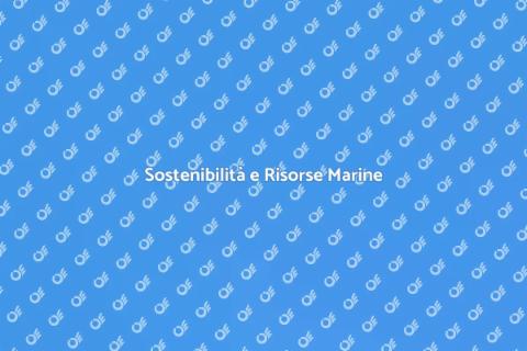 Corso Gestione Risorse in Mare