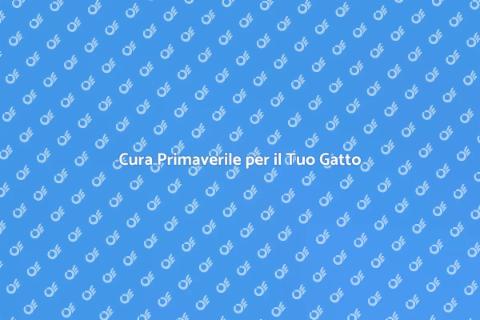 Toelettatura Primaverile per Gatti
