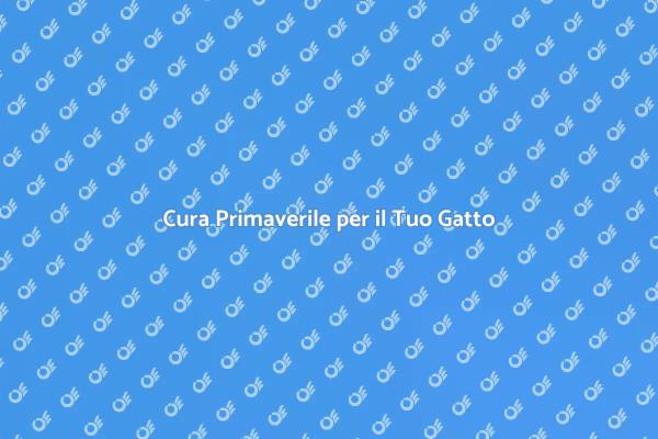 Come Toelettare il Tuo Gatto in Primavera