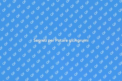 Potatura per Agrumi Sani e Rigogliosi