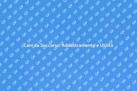 Addestramento Cani da Soccorso Ambientale