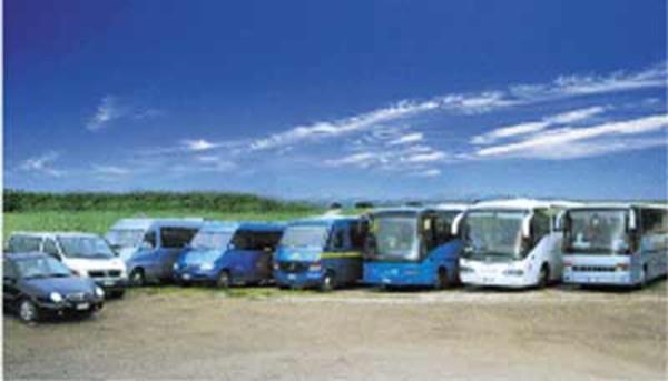 Autolinee & Autonoleggio De Angelis Bus S.r.l  - Foto 1