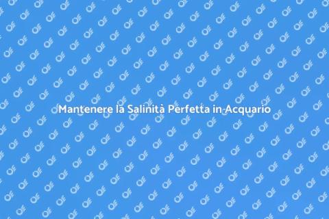 Salinità Acqua Acquario: Guida Pratica