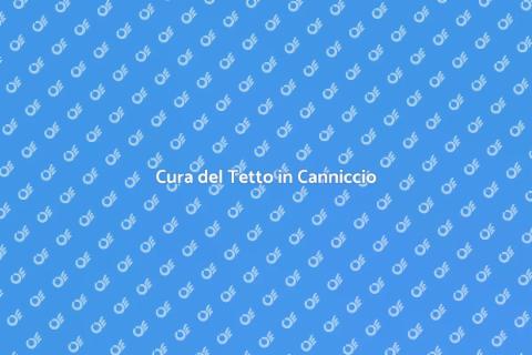 Manutenzione Tetto in Canniccio