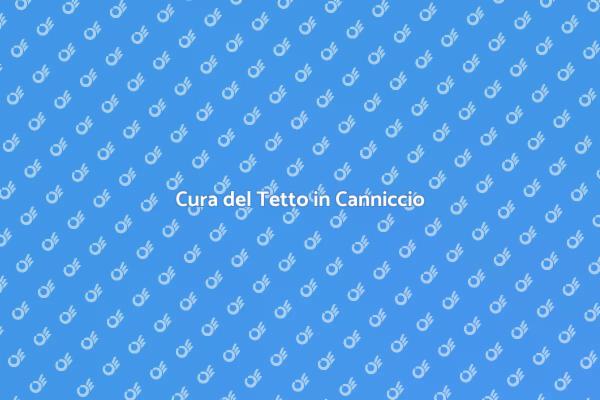 Guida alla Manutenzione del Tetto