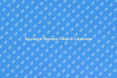 Rimuovere Nidi di Calabrone Sicuramente