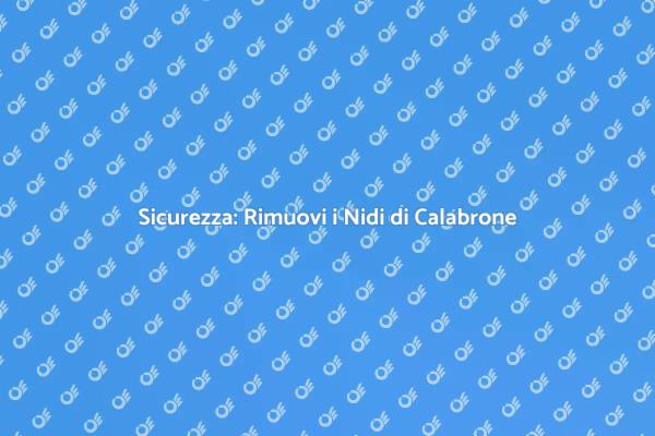 Rimozione Sicura dei Nidi di Calabrone