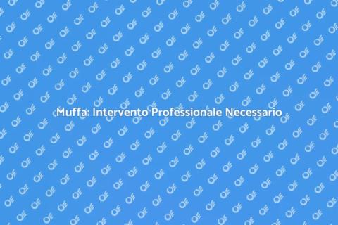 Controllo e Intervento Muffa Professionale