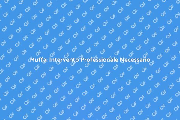 Liberati dalla Muffa con Esperti