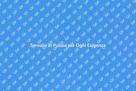 Pulizia Professionale per la Tua Casa
