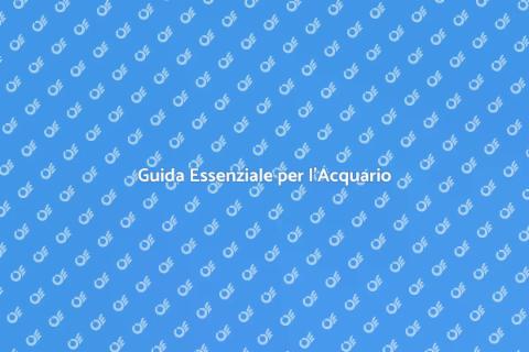 Consulenza Completa per l'Acquario