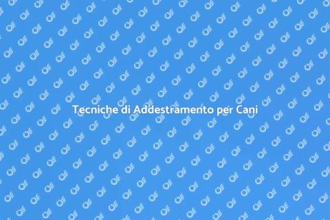 Addestramento Cani: Soluzioni Comportamentali