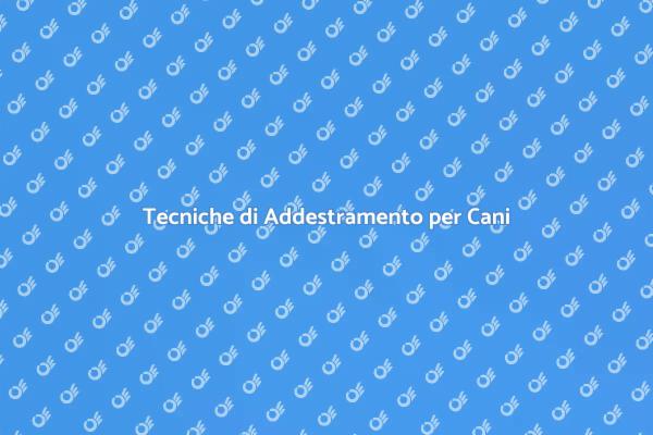 Risolvi i Problemi Comportamentali del Tuo Cane