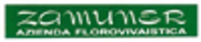 Zamuner Ezio Azienda Florovivaistica  - Foto 1