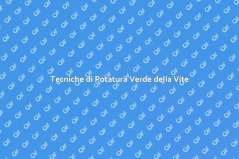 Potatura Verde della Vite: Guida Essenziale