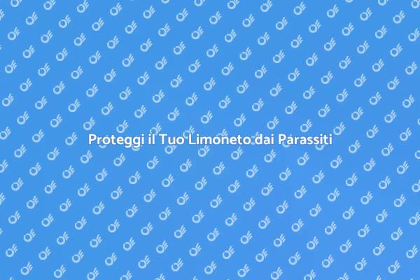 Come Difendere il Limoneto dai Parassiti