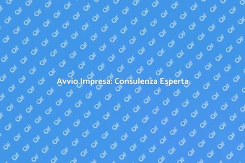 Consulenza Esperto in Costituzione