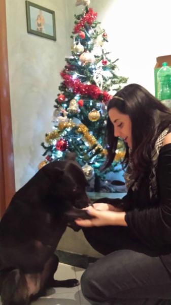 dogsitter, educatore cinofilo - Foto 2