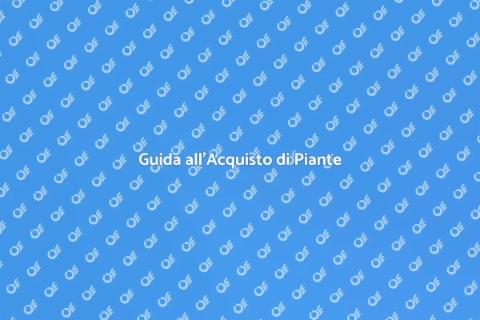 Acquistare Piante da Giardino