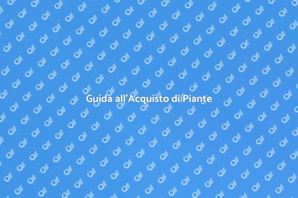 Come Scegliere Piante da Giardino