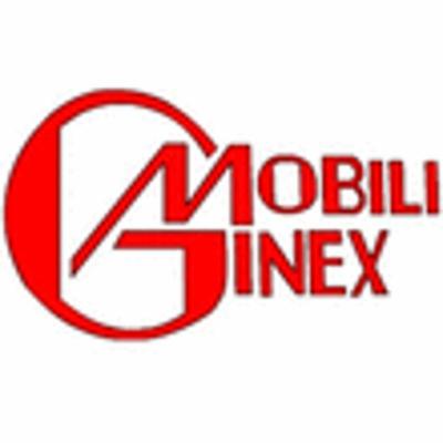 Mobili Ginex  - Foto 1